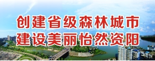 黄色日穴创建省级森林城市 建设美丽怡然资阳